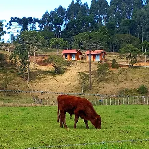 https://cabanas-observatrio-urubici.santa-catarina-brasil.com